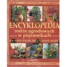 Encyklopedia roślin ogrodowych w pojemnikach 