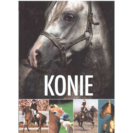 Konie