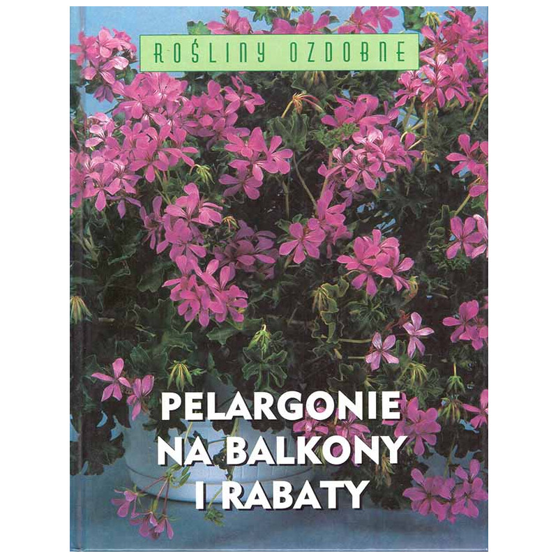 Pelargonie na balkony i rabaty