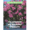 Pelargonie na balkony i rabaty