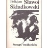 Strzępy meldunków