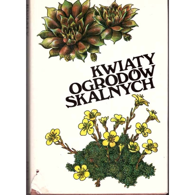 Kwiaty ogrodów skalnych