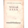 Wgłąb Z.S.S.R.