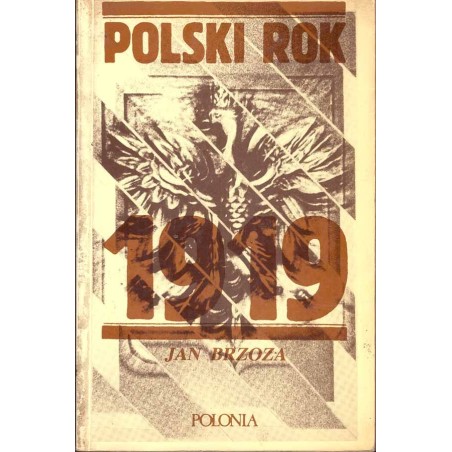 Polski rok 1919