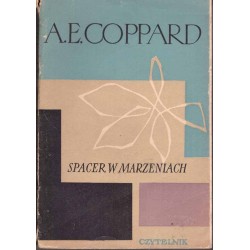 Spacer w marzeniach