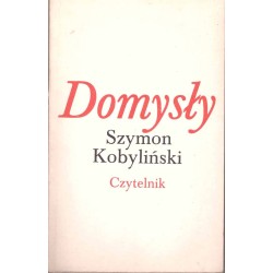Domysły