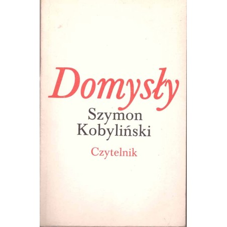 Domysły