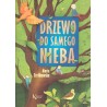 Drzewo do samego nieba