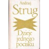Dzieje jednego pocisku Dzieje jednego pocisku