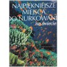 Najpiękniejsze miejsca do nurkowania na świecie