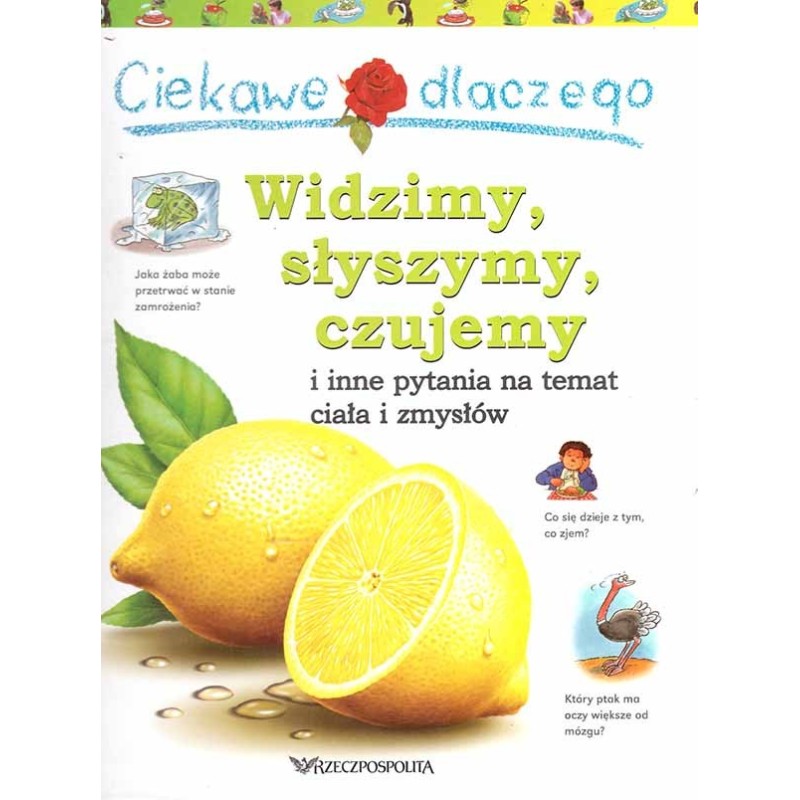 Widzimy, słyszymy, czujemy