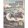 Seria "Żołty Tygrys": Gdzie rodzą się cyklony